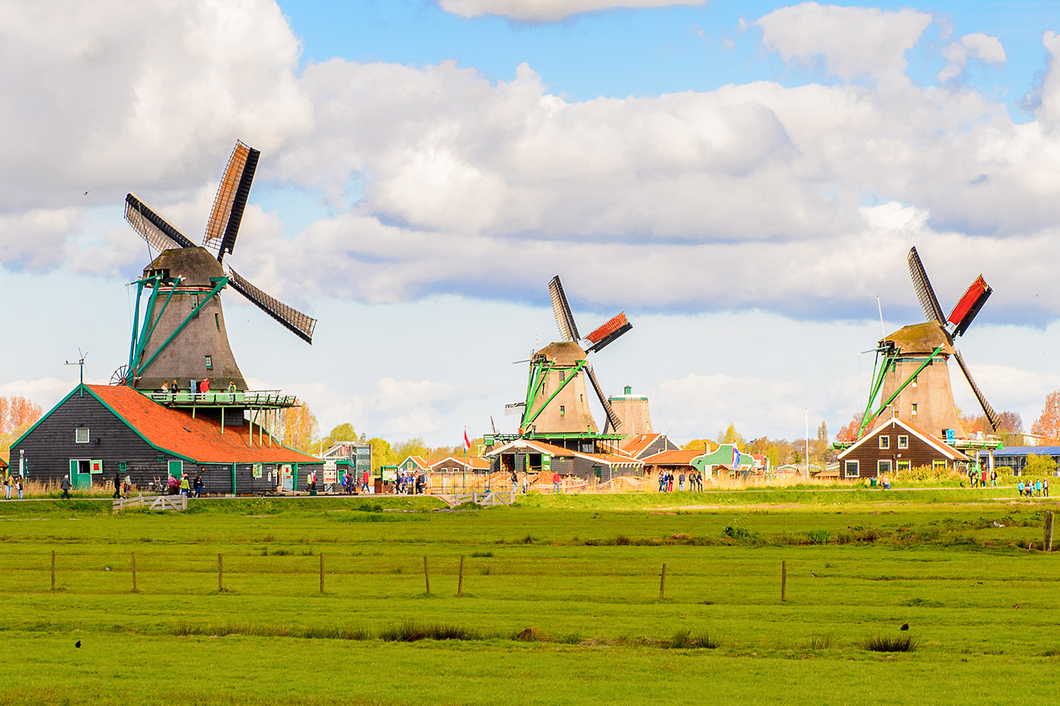 Windmills-of-Zaanse-Schans-quiet-village-in-Netherlands 422544037