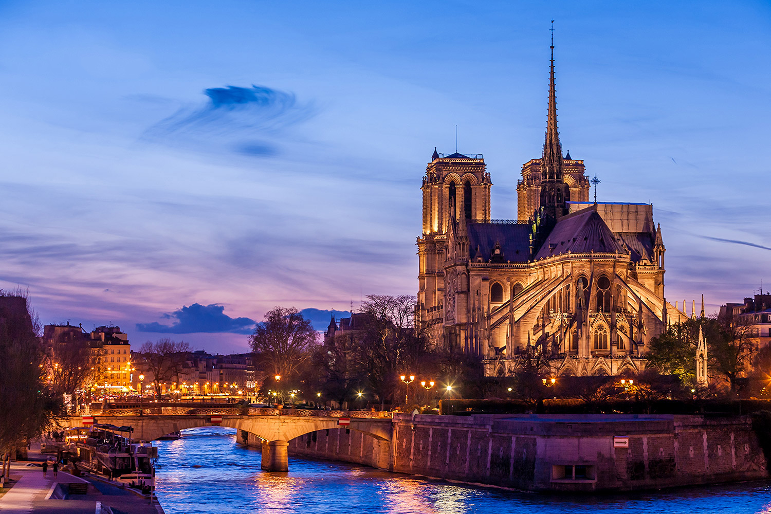notre-dame-de-paris-cathedral-at-night 167641637