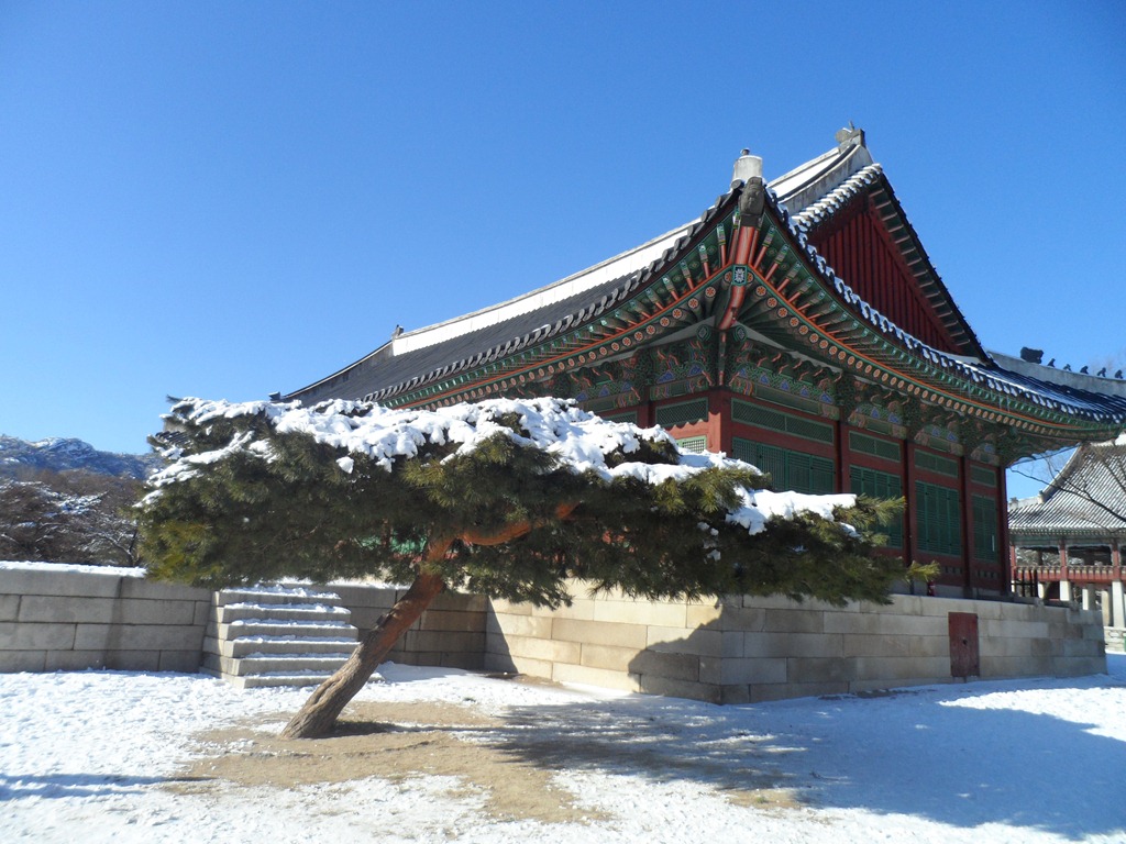 cung điện gyeongbok mua dong